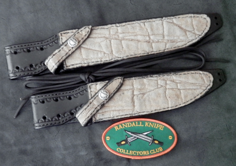 P8300084 (800x564).jpg P8300084 (800x564).jpg